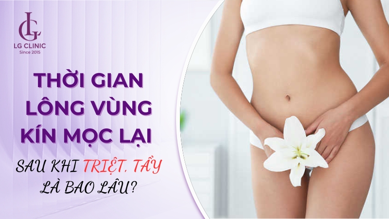 Thời gian lông vùng kín mọc lại