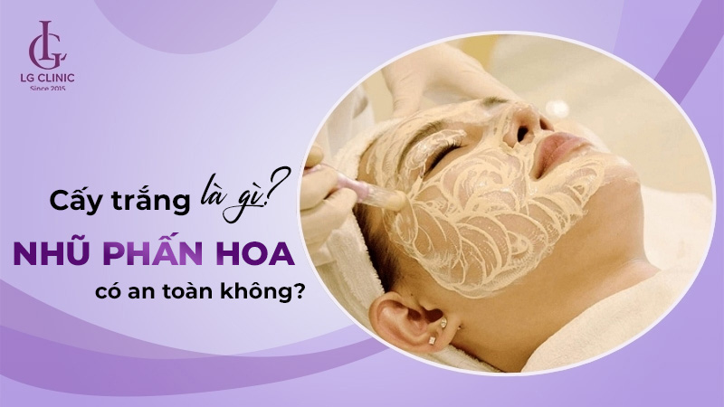 Cây trắng như phấn hoa